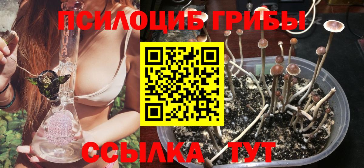 Златоуст  Псилоцибиновые грибы Cubensis  Вход с VPN 